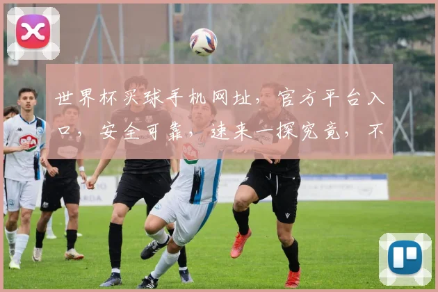 世界杯买球手机网址，官方平台入口，安全可靠，速来一探究竟，不容错过