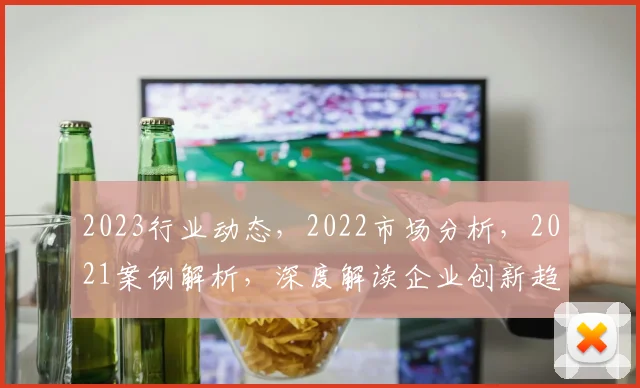 2023行业动态，2022市场分析，2021案例解析，深度解读企业创新趋势